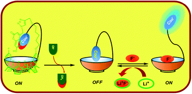 Graphical abstract: Ion-mediated single-molecular optical switching and sensing based on the fluorophore-tethered calix[4]pyrrole