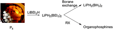 Graphical abstract: P4 functionalization by hydrides: direct synthesis of P–H bonds