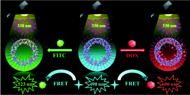 Graphical abstract: Facile creation of FRET systems from a pH-responsive AIE fluorescent vesicle