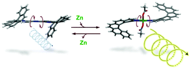 Graphical abstract: Conformational changes and chiroptical switching of enantiopure bis-helicenic terpyridine upon Zn2+ binding