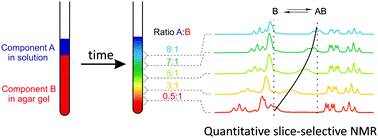 Graphical abstract: NMR analysis of weak molecular interactions using slice-selective experiments via study of concentration gradients in agar gels