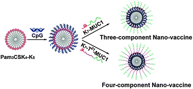 Graphical abstract: Multi-component self-assembled anti-tumor nano-vaccines based on MUC1 glycopeptides