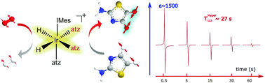 Graphical abstract: Creating a hyperpolarised pseudo singlet state through polarisation transfer from parahydrogen under SABRE