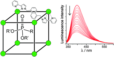 Graphical abstract: Binding of chemical warfare agent simulants as guests in a coordination cage: contributions to binding and a fluorescence-based response