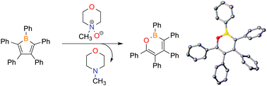 Graphical abstract: Oxygen insertion into boroles as a route to 1,2-oxaborines