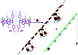 Graphical abstract: A fishing rod-like conjugated polymer bearing pillar[5]arenes