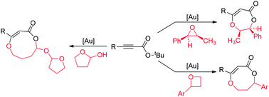 Graphical abstract: Gold-catalyzed [4+3] and [4+4]-annulation reactions of t-butyl propiolate derivatives with epoxides and oxetanes for the construction of 1,4-dioxepane and 1,5-dioxocane cores