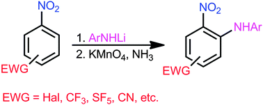 Graphical abstract: Oxidative nucleophilic aromatic amination of nitrobenzenes