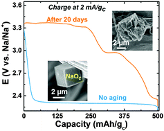 Graphical abstract: Revealing instability and irreversibility in nonaqueous sodium–O2 battery chemistry