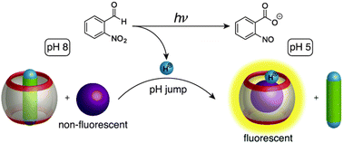 Graphical abstract: Phototriggered release of amine from a cucurbituril macrocycle