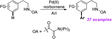 Graphical abstract: Highly regioselective meta arylation of oxalyl amide-protected β-arylethylamine via the Catellani reaction