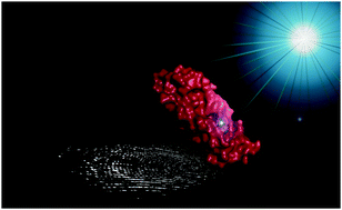 Graphical abstract: Gold-based drug encapsulation within a ferritin nanocage: X-ray structure and biological evaluation as a potential anticancer agent of the Auoxo3-loaded protein