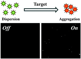 Graphical abstract: A novel scattering switch-on detection technique for target-induced plasmon-coupling based sensing by single-particle optical anisotropy imaging