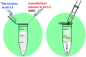 Graphical abstract: Recognition-mediated cucurbit[7]uril-heptamolybdate hybrid material: a facile supramolecular strategy for 99mTc separation