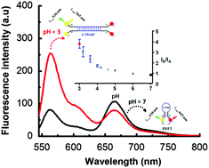 Graphical abstract: A molecular beacon-based DNA switch for reversible pH sensing in vesicles and live cells