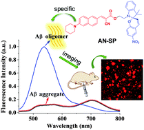 Graphical abstract: A spiropyran-based fluorescent probe for the specific detection of β-amyloid peptide oligomers in Alzheimer's disease