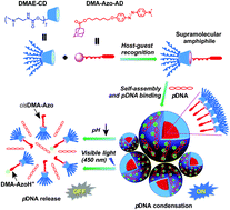 Graphical abstract: Dual-responsive aggregation-induced emission-active supramolecular nanoparticles for gene delivery and bioimaging