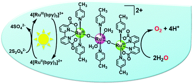 Graphical abstract: Light-induced water oxidation catalyzed by an oxido-bridged triruthenium complex with a Ru–O–Ru–O–Ru motif