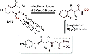 Graphical abstract: Pd-Catalyzed sequential β-C(sp3)–H arylation and intramolecular amination of δ-C(sp2)–H bonds for synthesis of quinolinones via an N,O-bidentate directing group