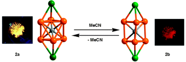 Graphical abstract: Luminescence responsive intracluster rearrangements of gold(i)–silver(i) clusters triggered by acetonitrile