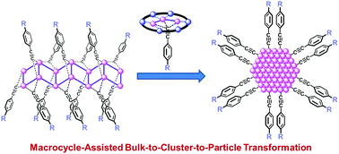 Graphical abstract: A stepwise bulk-to-cluster-to-particle transformation toward the efficient synthesis of alkynyl-protected silver nanoclusters