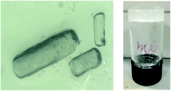 Graphical abstract: Pharmaceutical crystallization with nanocellulose organogels