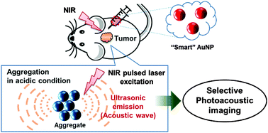 Graphical abstract: “Smart” gold nanoparticles for photoacoustic imaging: an imaging contrast agent responsive to the cancer microenvironment and signal amplification via pH-induced aggregation