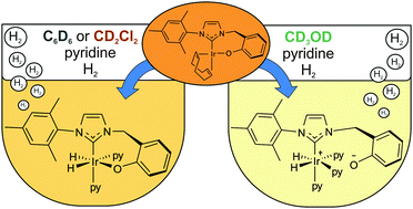 Graphical abstract: Solvent responsive catalyst improves NMR sensitivity via efficient magnetisation transfer