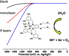 Graphical abstract: Efficient water oxidation with electromodified Langmuir–Blodgett films of procatalytic [CoIII(N2O3)] metallosurfactants on electrodes