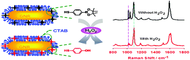 Graphical abstract: A novel SERS nanoprobe for the ratiometric imaging of hydrogen peroxide in living cells