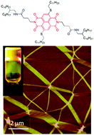 Graphical abstract: J-aggregation of a sulfur-substituted naphthalenediimide (NDI) with remarkably bright fluorescence