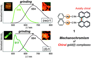 Graphical abstract: Luminescent mechanochromism of a chiral complex: distinct crystal structures and color changes of racemic and homochiral gold(i) isocyanide complexes with a binaphthyl moiety