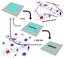 Graphical abstract: Reversible photo-patterning of soft conductive materials via spatially-defined supramolecular assembly