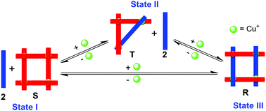 Graphical abstract: Fully reversible three-state interconversion of metallosupramolecular architectures