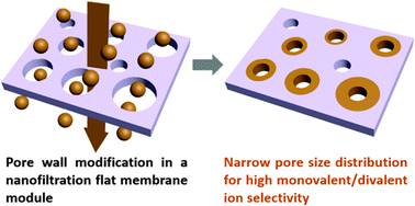Graphical abstract: Nanofiltration membranes with narrowed pore size distribution via pore wall modification