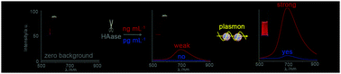 Graphical abstract: Beyond “turn-on” readout: from zero background to signal amplification by combination of magnetic separation and plasmon enhanced fluorescence