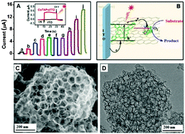 Graphical abstract: Enhanced light-driven catalytic performance of cytochrome P450 confined in macroporous silica