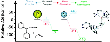 Graphical abstract: The importance of the Lewis base in lithium mediated metallation and bond cleavage reaction of allyl amines and allyl phosphines