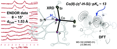 Graphical abstract: The unusual hydridicity of a cobalt bound Si–H moiety