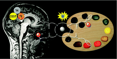 Graphical abstract: Paramagnetic lanthanide chelates for multicontrast MRI