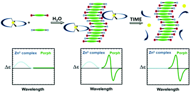 Graphical abstract: Chirality of self-assembled achiral porphyrins induced by chiral Zn(ii) Schiff-base complexes and maintained after spontaneous dissociation of the templates: a new case of chiral memory