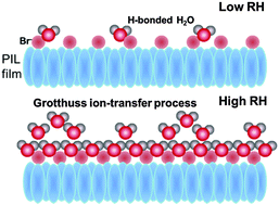 Graphical abstract: Highly chemoresistive humidity sensing using poly(ionic liquid)s