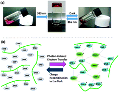 Graphical abstract: UV gelation of single-component polyacrylates bearing dinitrobenzoate side groups