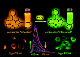 Graphical abstract: A BODIPY-based fluorescent probe for ratiometric detection of gold ions: utilization of Z-enynol as the reactive unit