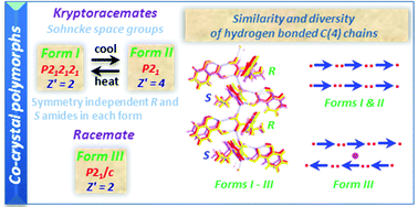 Graphical abstract: Diversity in a simple co-crystal: racemic and kryptoracemic behaviour