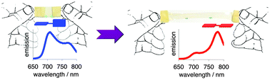 Graphical abstract: Mechanothermally induced conformational switch of a porphyrin dimer in a polymer film