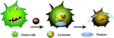 Graphical abstract: A H+-triggered bubble-generating nanosystem for killing cancer cells