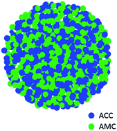 Graphical abstract: Is Mg-stabilized amorphous calcium carbonate a homogeneous mixture of amorphous magnesium carbonate and amorphous calcium carbonate?