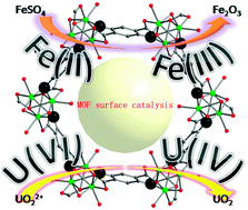 Graphical abstract: MOF catalysis of FeII-to-FeIII reaction for an ultrafast and one-step generation of the Fe2O3@MOF composite and uranium(vi) reduction by iron(ii) under ambient conditions