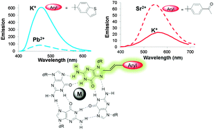 Graphical abstract: An internal charge transfer-DNA platform for fluorescence sensing of divalent metal ions